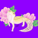 luckyeggdraws avatar