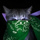 luckyestfella avatar