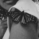 luckyforever23-blog avatar