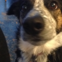 luckylarry001 avatar