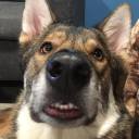 luckylunarluck avatar