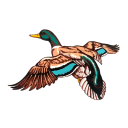 luckystrikereds avatar