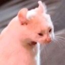 lucyhammershit avatar