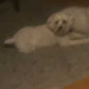 lucylovesjesusblog avatar