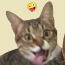 ludicrousblissblog avatar