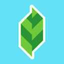 ludokostudios avatar