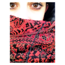 ludowladventures avatar