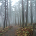 ludwig-van-mozart avatar