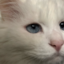 lueji-m avatar