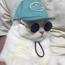 lugo-punto-c-blog avatar