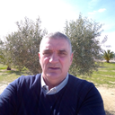 luis-filipealves avatar