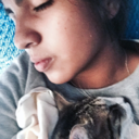 luisawuffardem avatar