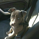 luisittosblog avatar