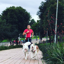 luiskthemusher avatar