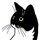 luke-and-leia-the-cats-not-jedi avatar