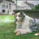 lukelighthart77 avatar