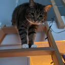 lukewalkwalker avatar