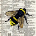 lukewarmheaded avatar