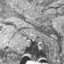 lulu-lionheart avatar