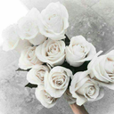 luluesparzagtz-blog avatar