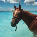 luluxxs1-blog avatar