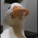 luminarytheoder avatar