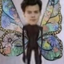 luna-blues-world avatar