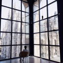 luna-ivashkov avatar