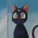 luna-the-black-cat-blog avatar