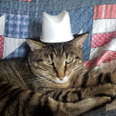 luna-wolf-fangirl avatar