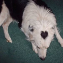 lunaamothh-blog1 avatar