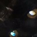 lunalovesangst avatar