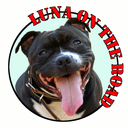 lunaontheroad avatar