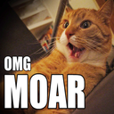 lunapark-kedisi avatar