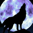 lunar-knight700 avatar