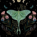 lunar-moths-star avatar