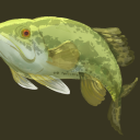 lunar-waterlilies avatar