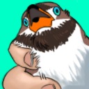 lunarbird avatar