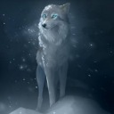 lunaritychuwolf avatar