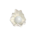 lunariumlilies avatar