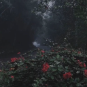 lunarpisces69-420 avatar