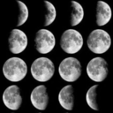 lunarpunkarchive avatar