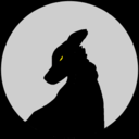 lunarthewolf avatar