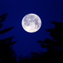 lunarwanderer avatar