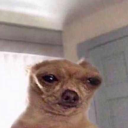 lunaskylr-blog avatar