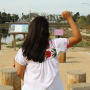 lunatics-blog avatar