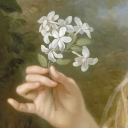 lunatictardis avatar