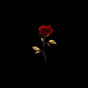 lunaventura98 avatar