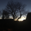 lunchbboxx-blog avatar