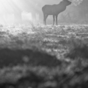 lunchboxcrave avatar